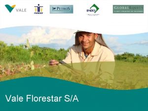 Vale Florestar SA 0 Forest Plantations Growth Opportunities