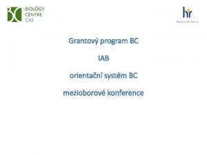 Grantov program BC IAB orientan systm BC mezioborov