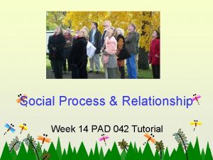 Social Process Relationship Week 14 PAD 042 Tutorial