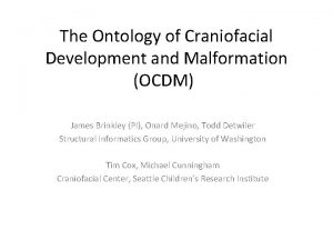 The Ontology of Craniofacial Development and Malformation OCDM