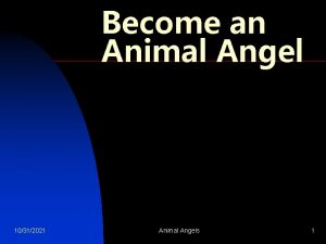 Become an Animal Angel 10312021 Animal Angels 1