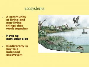 ecosystems A community of living and nonliving things