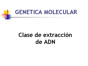 GENETICA MOLECULAR Clase de extraccin de ADN Extraccin