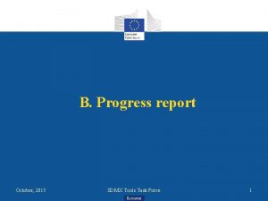 B Progress report October 2015 SDMX Tools Task