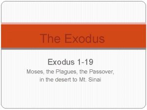 The Exodus 1 19 Moses the Plagues the