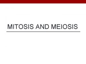 MITOSIS AND MEIOSIS Important vocabulary Mitosis Nucleus Chromosome