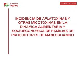 INCIDENCIA DE AFLATOXINAS Y OTRAS MICOTOXINAS EN LA