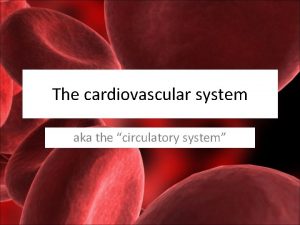 The cardiovascular system aka the circulatory system The