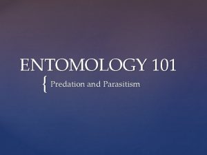 ENTOMOLOGY 101 Predation and Parasitism Predation and Parasitism