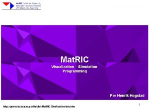 Mat RIC Visualization Simulation Programming Per Henrik Hogstad