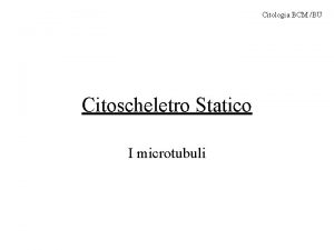 Citologia BCM BU Citoscheletro Statico I microtubuli Citologia