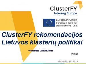 Cluster FY rekomendacijos Lietuvos klasteri politikai Vidmantas Vaituleviius