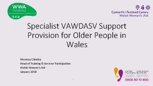 Specialist VAWDASV Support Provision for Older People in