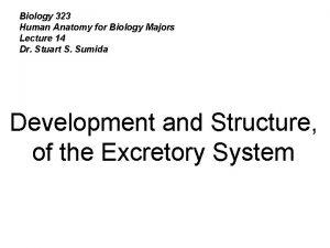 Biology 323 Human Anatomy for Biology Majors Lecture