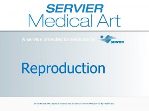 A service provided to medicine by Reproduction Servier