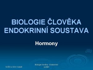 BIOLOGIE LOVKA ENDOKRINN SOUSTAVA Hormony SOS a SOU