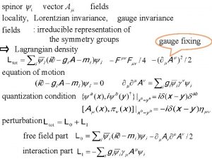 spinor yi vector Am fields locality Lorentzian invariance