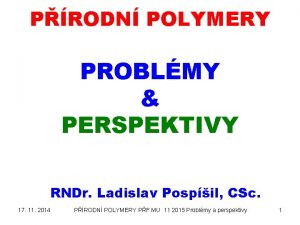 PRODN POLYMERY PROBLMY PERSPEKTIVY RNDr Ladislav Pospil CSc
