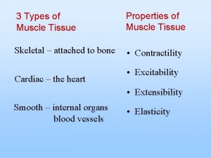 3 Types of Muscle Tissue Properties of Muscle