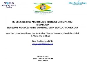 REDESIGING BLUE ARCHIPELAGO INTENSIVE SHRIMP FARM IN MALAYSIA