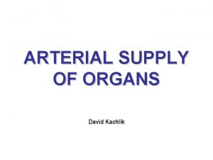 ARTERIAL SUPPLY OF ORGANS David Kachlk Organs with