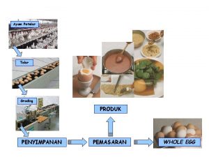 Ayam Petelur Telur Grading PRODUK PENYIMPANAN PEMASARAN WHOLE