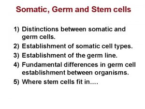 Somatic Germ and Stem cells 1 Distinctions between