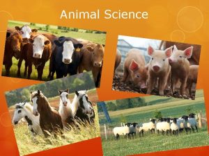 Animal Science What is Animal Science Care management