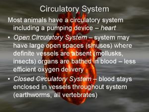 Circulatory System Most animals have a circulatory system