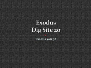 Exodus Dig Site 20 Exodus 40 1 38
