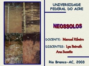 UNIVERSIDADE FEDERAL DO ACRE DOCENTE Manuel Ribeiro DISCENTES