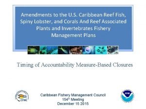 Amendments to the U S Caribbean Reef Fish