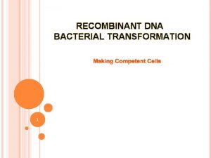 RECOMBINANT DNA BACTERIAL TRANSFORMATION 1 COMPETENT CELLS Competent