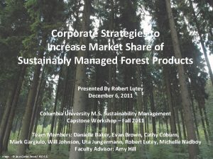 Corporate Strategies to Increase Market Share of Sustainably