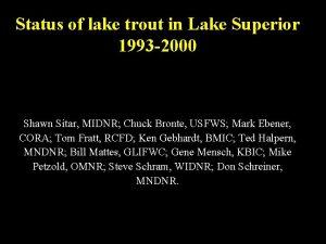 Status of lake trout in Lake Superior 1993