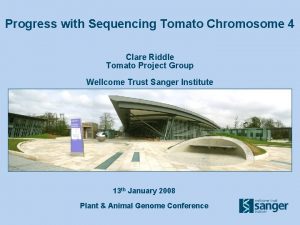 Progress with Sequencing Tomato Chromosome 4 Clare Riddle