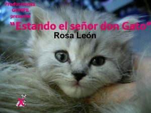 Producciones GONPE presenta Estando el seor don Gato