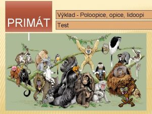 PRIMT I Vklad Poloopice lidoopi Test ZKLADN ZNAKY