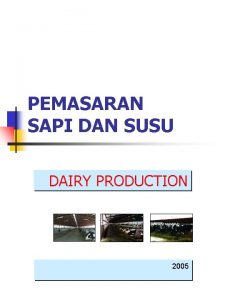 PEMASARAN SAPI DAN SUSU DAIRY PRODUCTION 2005 SUSU