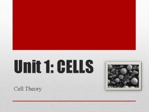 Unit 1 CELLS Cell Theory The Cell Theory