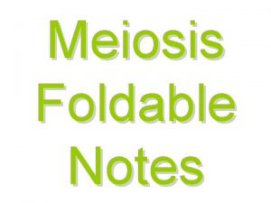 Meiosis Foldable Notes Foldable You need 6 pieces