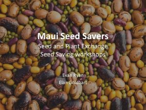 Maui Seed Savers Seed and Plant Exchange Seed