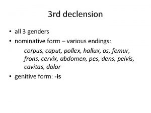 3 rd declension all 3 genders nominative form