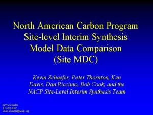 North American Carbon Program Sitelevel Interim Synthesis Model