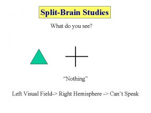 SplitBrain Studies What do you see Nothing Left