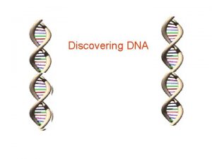 Discovering DNA Watson and Crick 1953 2003 DNA