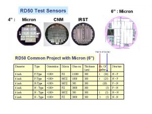 RD 50 Test Sensors 4 Micron 6 Micron
