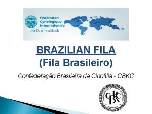 BRAZILIAN FILA Fila Brasileiro Confederao Brasileira de Cinofilia