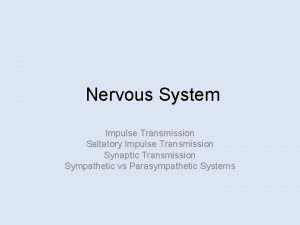 Nervous System Impulse Transmission Saltatory Impulse Transmission Synaptic