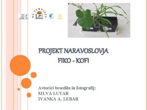 PROJEKT NARAVOSLOVJA FIKO KOFI Avtorici besedila in fotografij